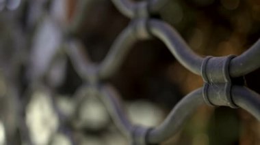 Store gate closed, front business place locked