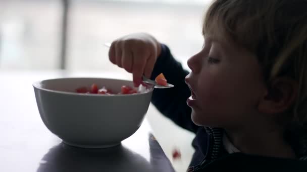 Toddler Boy Eating Healthy Bowl Tomatoes — Stock videók