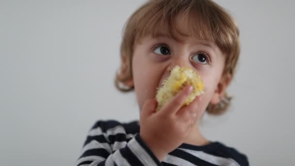 Toddler Eating Corn Cob One Year Old Baby Child Healthy — 图库视频影像