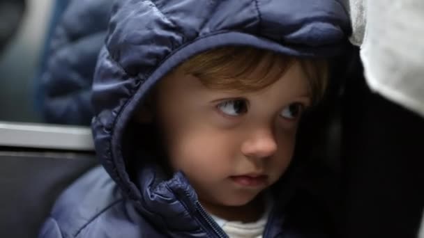 Bashful Toddler Hiding Cloth — Vídeo de stock