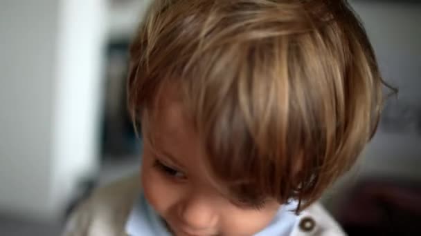 Portrait Baby Toddler Blond Infant Boy — Stock video