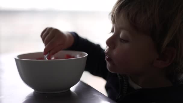 Toddler Boy Eating Healthy Bowl Tomatoes — 비디오