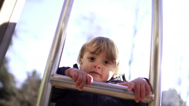 Active Little Toddler Boy Climbing Playground Staircase Sunlight — Stockvideo