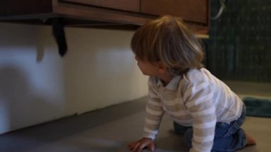 Baby toddler chasing cat around the house