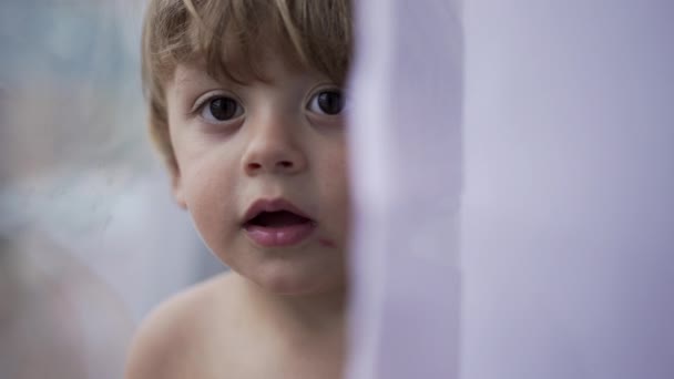 Adorable Two Year Old Toddler Boy Staring Camera Curtain — Stockvideo