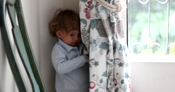 Cute Toddler Boy Hiding Curtain — Stok video