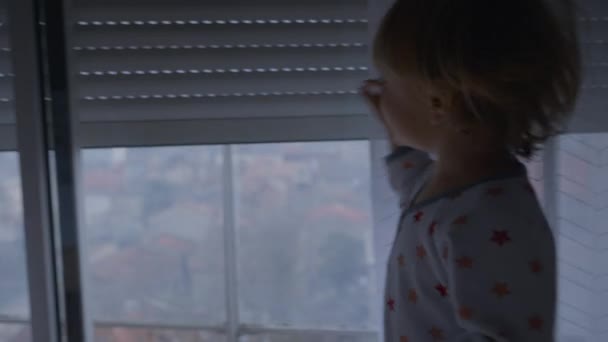 Toddler Boy Watching Automatic Blinds Going — Stok video