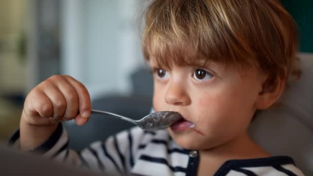 Toddler Year Old Baby Eating Yogurt — Vídeo de Stock