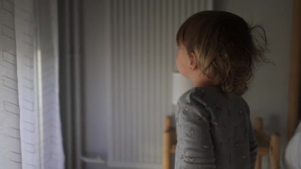 Little Toddler Closing Automatic Blinds Kid Watching Blinds — Vídeo de stock