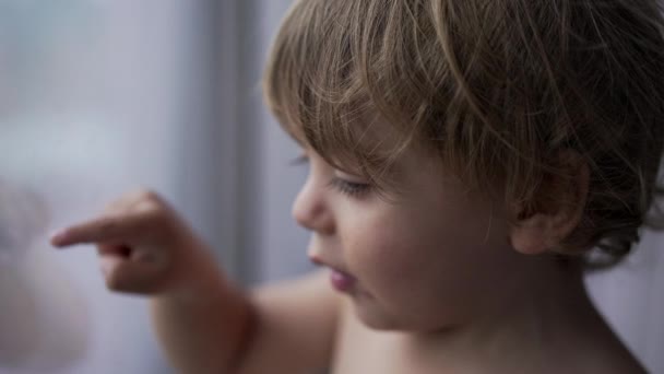Toddler Year Old Baby Pointing Finger Child Touching Glass — Vídeo de Stock