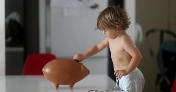 Child Putting Coins Savings Piggy Bank — Stok video