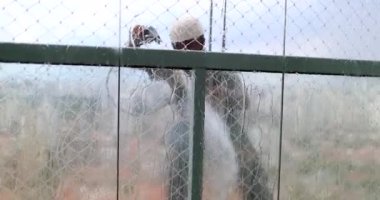 Cam silici bina cephesini temizliyor. Kişi temizleme bina penceresi