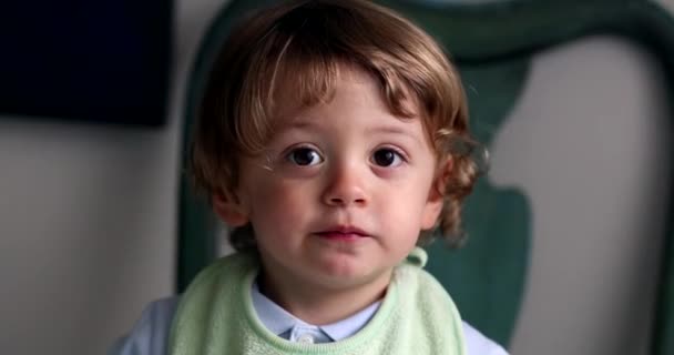 Милий Чарівний Дитячий Портрет Хлопчика Який Дивиться Камеру — стокове відео