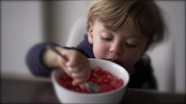 Toddler Boy Eating Healthy Bowl Tomatoes — Wideo stockowe