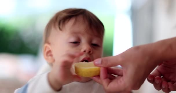 Γονείς Δίνουν Λεμόνι Στο Μωρό Χαριτωμένο Γλυκό Πρόσωπο Βρέφους — Αρχείο Βίντεο