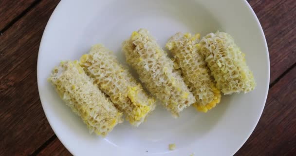 Eaten Corn Cob Leftovers Plate — Video Stock