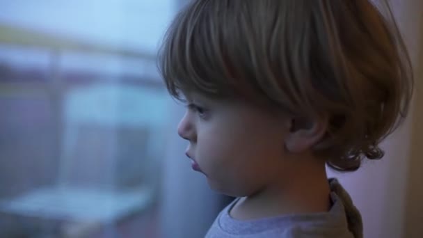 Baby Toddler Standing Window Wanting Out Feeling Bored — Stockvideo