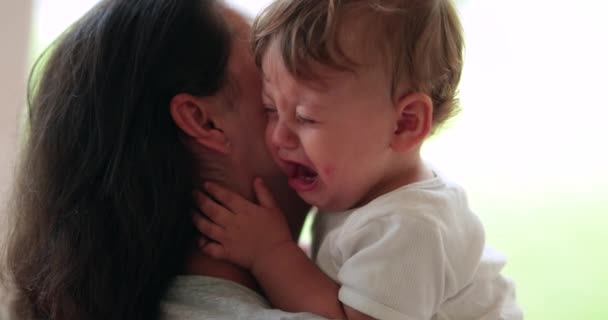 Mother Consoling Crying Child Toddler Boy — Vídeo de Stock