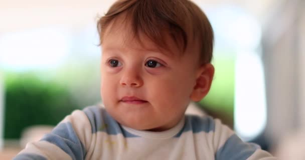 Cute Adorable Baby Infant Toddler Boy Portrait — Stockvideo