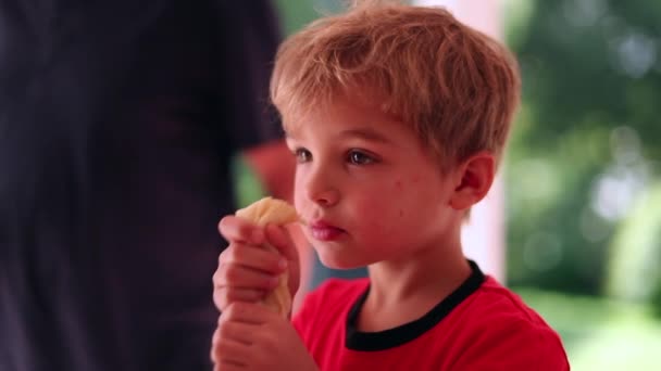 Чарівний Молодий Хлопчик Їсть Млинець Ранковий Сніданок — стокове відео