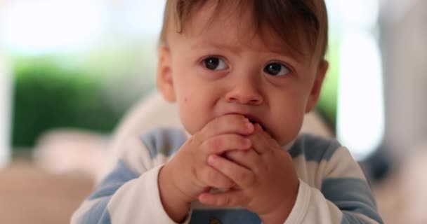 かわいい赤ちゃんは酸性レモンをしようとします 幼児の顔のグリッシング — ストック動画