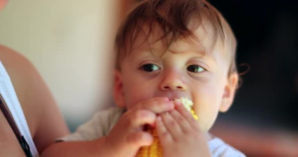Aranyos Egy Éves Csecsemő Kukoricát Eszik — Stock videók