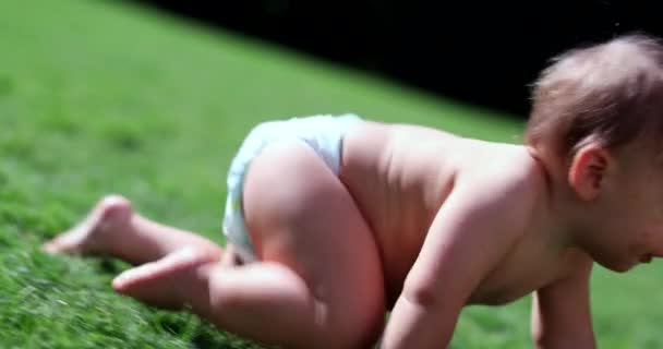 Cute Baby Crawling Nature Infant Toddler Crawls Grass — Stockvideo