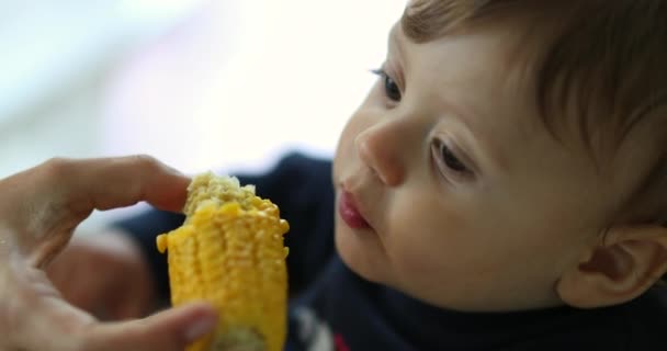 Aranyos Baba Kukoricát Eszik Szülői Etetés Csecsemő Snack Étkezések Között — Stock videók