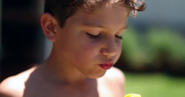 Schöner Kleiner Junge Der Draußen Mais Isst Kind Isst Gesunde — Stockvideo