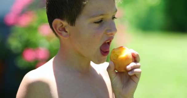 Ein Aufgeweckter Kleiner Junge Isst Draußen Hinterhof Einen Gesunden Obstsnack — Stockvideo