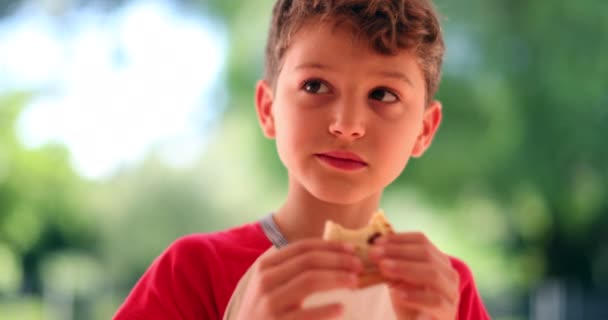 Criança Comendo Sanduíche Menino Dando Uma Mordida Para Comer — Vídeo de Stock