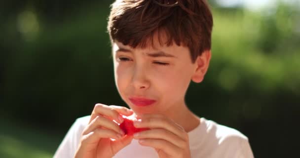 Bambino Ragazzo Mangiare Frutta Spuntino All Aperto — Video Stock
