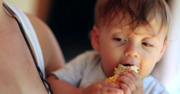 Happy Baby Eating Corn One Year Old Toddler Eats Healthy — Stok Video