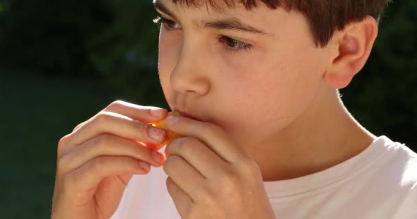 Niño Comiendo Bocadillo Frutas Afuera — Vídeo de stock