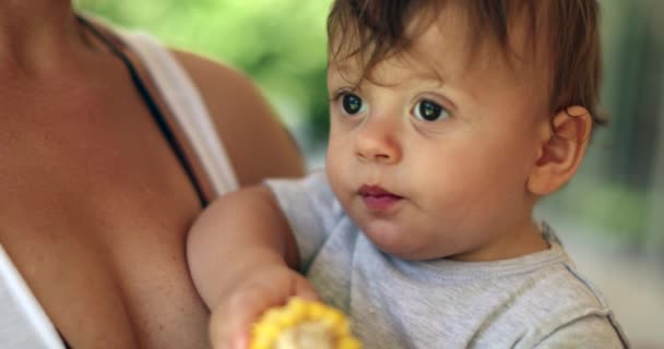 Handsome One Year Old Baby Toddler Taking Bite Healthy Corn — Stock Video