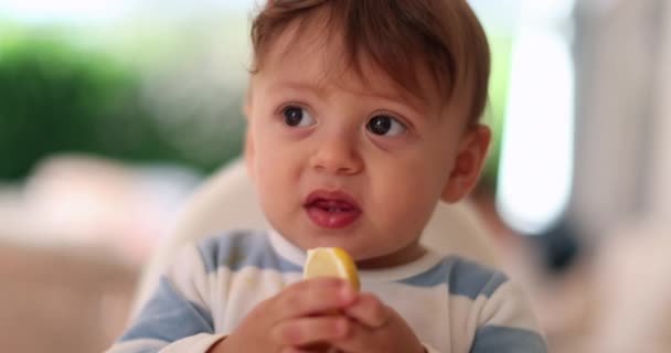 Baby Probiert Zitronenfrucht Aus — Stockvideo