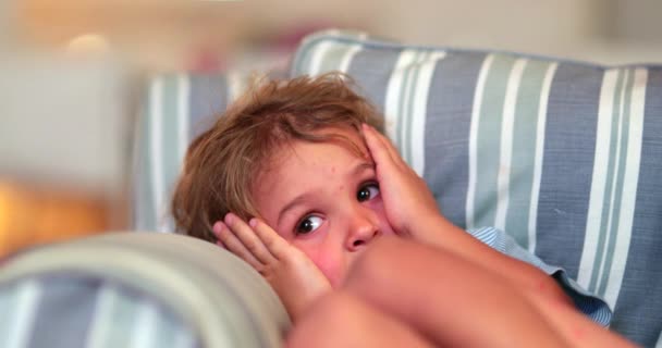 Little Boy Lying Sofa Night Watching Movie Entertainment — Stok video