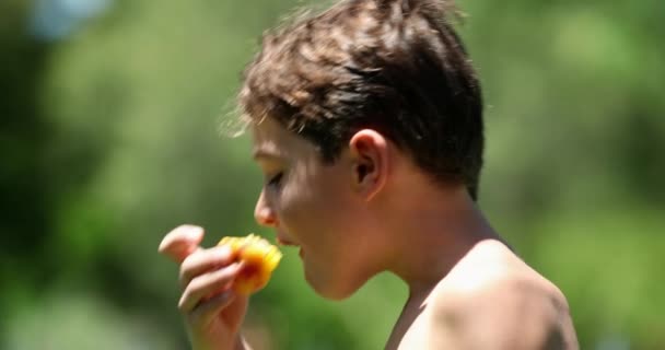 Junge Isst Pfirsichfrüchte Freier Natur — Stockvideo