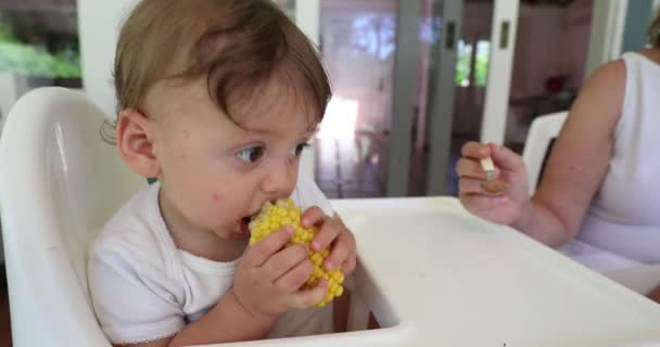 Baby Eating Corn Highchair — Vídeo de Stock