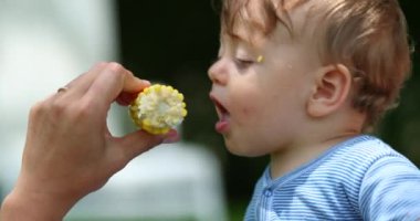 Mısır yiyen şirin bir bebek. Anne ve baba, bebeğe sağlıklı atıştırmalık koçanını veriyor.