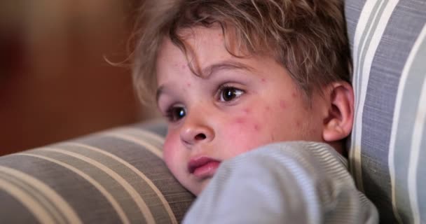 Little Boy Child Watching Night Toddler Kid Staring Screen — Stock videók