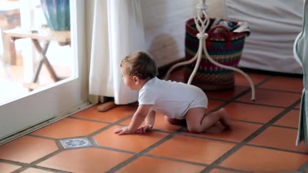 Adorable Bebé Pequeño Arrastrándose Interior Piso Casa — Vídeo de stock
