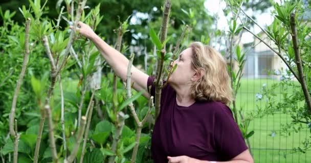 Dışarıda Bahçıvanlık Yapan Yaşlı Bir Kadın Dalları Budayıp Kesen Biri — Stok video