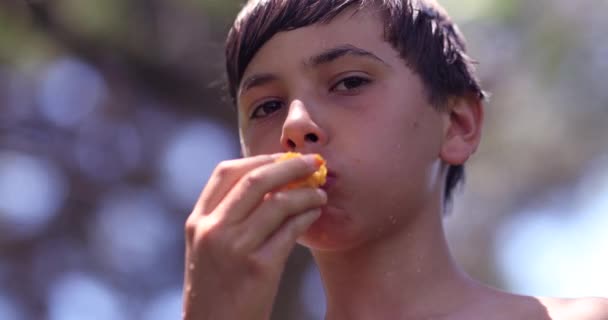 多愁善感的孩子在户外吃水果 有思想的小孩咀嚼桃子 — 图库视频影像