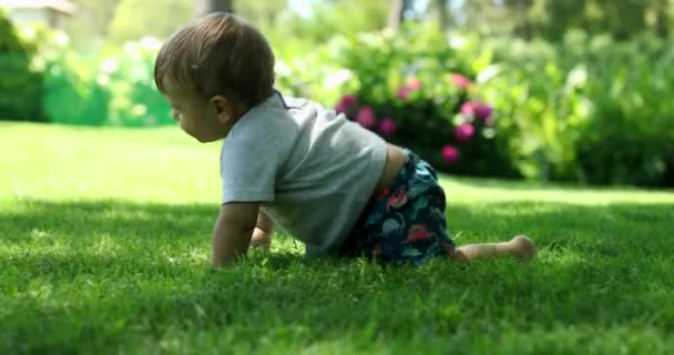 Niedliches Baby Krabbelt Draußen Heimischen Rasen — Stockvideo