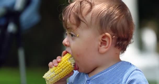 Lindo Bebé Comiendo Mazorca Maíz Afuera — Vídeo de stock