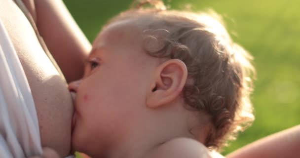 Bebê Mamando Peito Mãe Fora — Vídeo de Stock