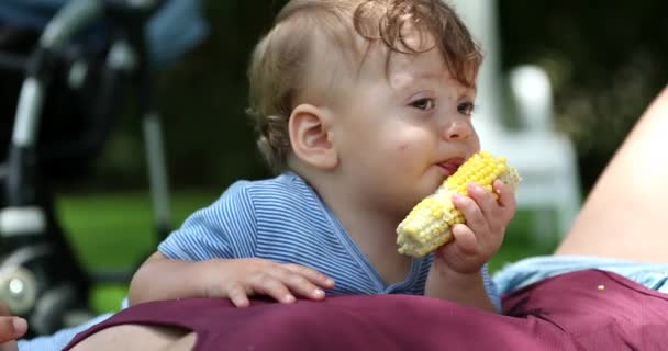 Bayi Lucu Makan Tongkol Jagung Luar Ruangan Bayi Diserap Oleh — Stok Video