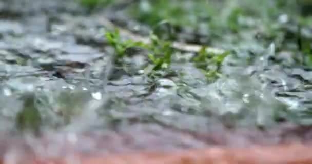 Zuhogó Eső Hullik Földbe Lassított Felvételű Makró Cseppekben — Stock videók