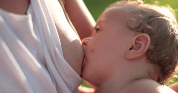 Mother Breastfeeding Baby Infant Outdoor Park — 图库视频影像